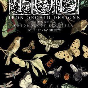 Entomology Etcetera front 300x300 - My Shabby Chic Corner - Prodotti Iron Orchid Designs - IOD