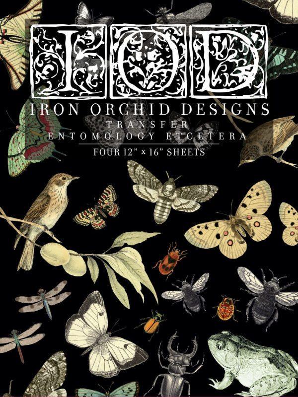Entomology Etcetera front 600x800 - My Shabby Chic Corner - Prodotti Iron Orchid Designs - IOD