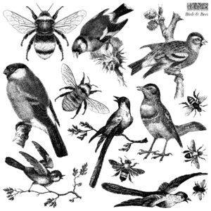 Birds  Bees stamp 300x300 - My Shabby Chic Corner - Prodotti Iron Orchid Designs - IOD